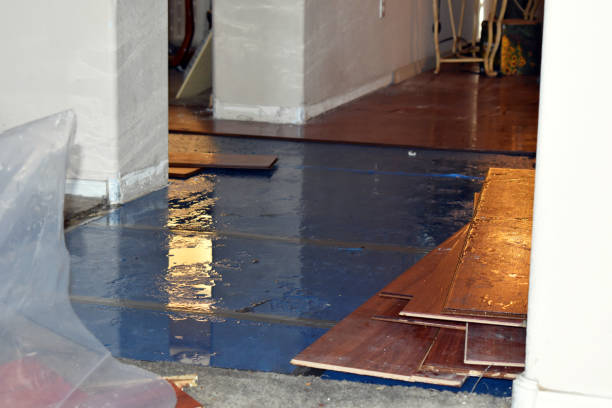 Professional Burst Pipe Cleanup technician working in Hazelhurst, WI